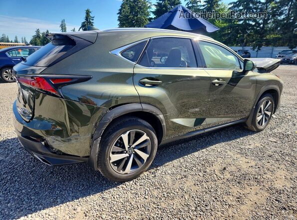 JTJGARDZXM2259305 2021 LEXUS NX Green უკანა მარჯვენა