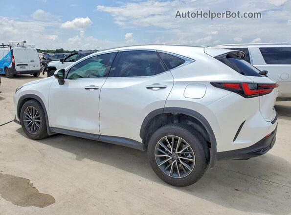 JTJGDCAZ2S5024420 2025 LEXUS NX White Հետևի ձախ
