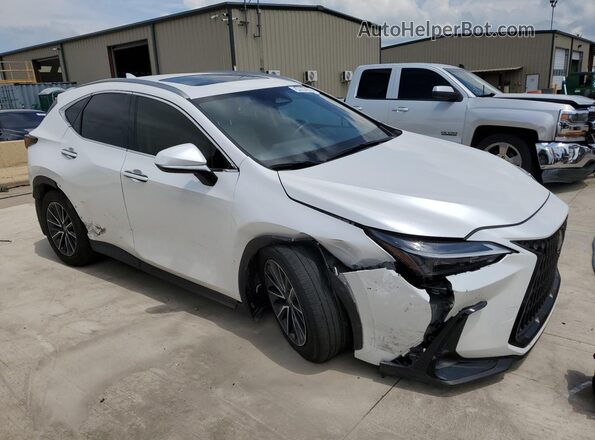 JTJGDCAZ2S5024420 2025 LEXUS NX White Սալոնի 360 աստիճան տեսք