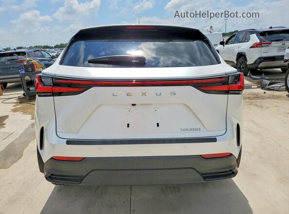 JTJGDCAZ2S5024420 2025 LEXUS NX White Հետևի տեսք