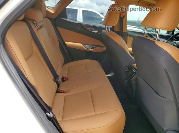 JTJGDCAZ2S5024420 2025 LEXUS NX White Սալոնի հետևի տեսք