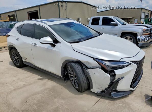 JTJGDCAZ2S5024420 2025 LEXUS NX White Առջևի աջ
