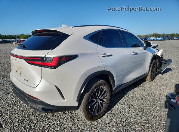 JTJGDCAZXP5010322 2023 LEXUS NX White Rear right