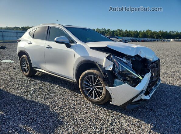JTJGDCAZXP5010322 2023 LEXUS NX White Front right
