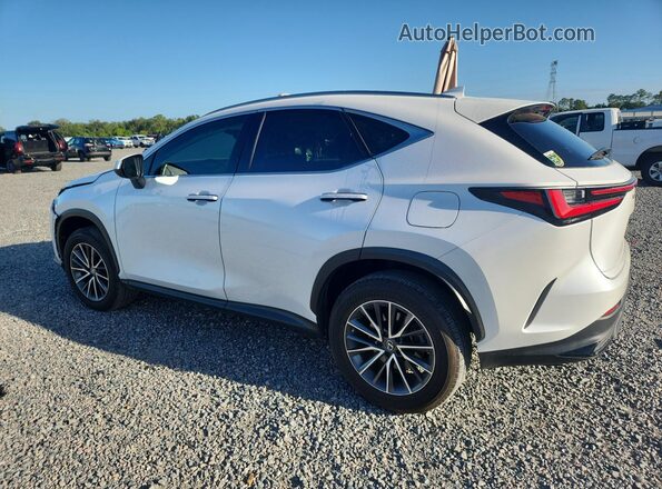 JTJGDCAZXP5010322 2023 LEXUS NX White Rear left