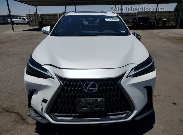 JTJGGCEZ3P5005433 2023 LEXUS NX White Front view