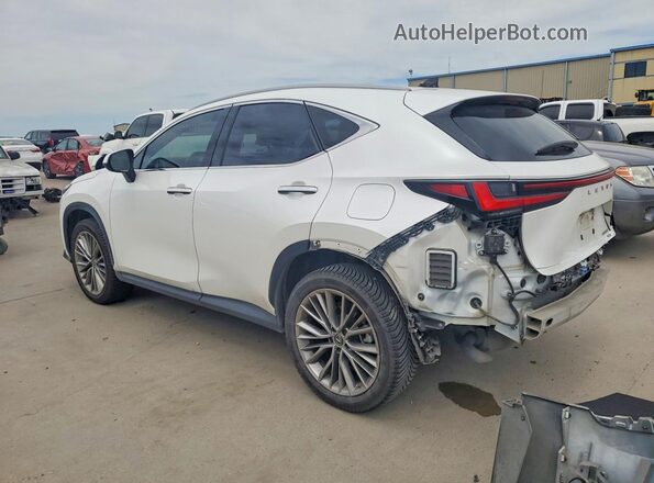 JTJGGCEZ4N2000272 2022 LEXUS NX White Հետևի ձախ