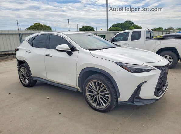 JTJGGCEZ4N2000272 2022 LEXUS NX White Առջևի աջ