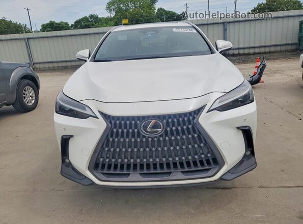 JTJGGCEZ4N2000272 2022 LEXUS NX White Դիմացի տեսք
