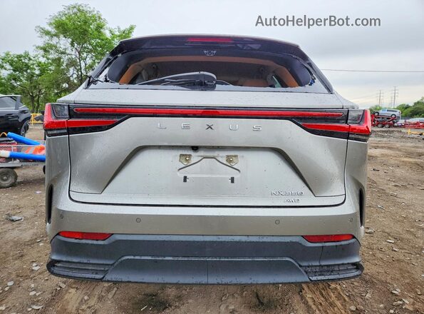 JTJGGCEZ5R5005954 2024 LEXUS NX Silver Հետևի տեսք