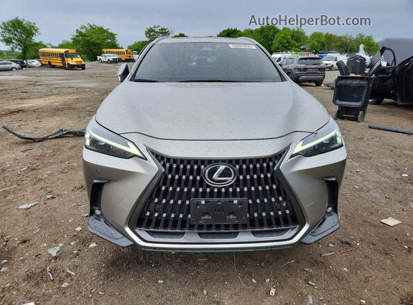 JTJGGCEZ5R5005954 2024 LEXUS NX Silver Դիմացի տեսք