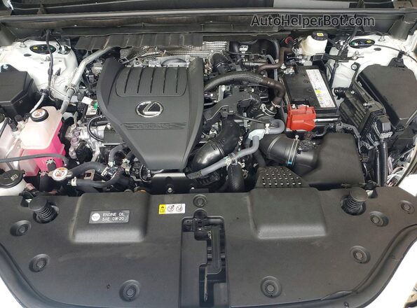 JTJGGCEZXR2017969 2024 LEXUS NX White Engine compartment view
