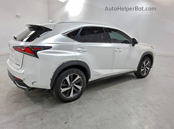 JTJGJRDZ1L2139391 2020 LEXUS NX White 