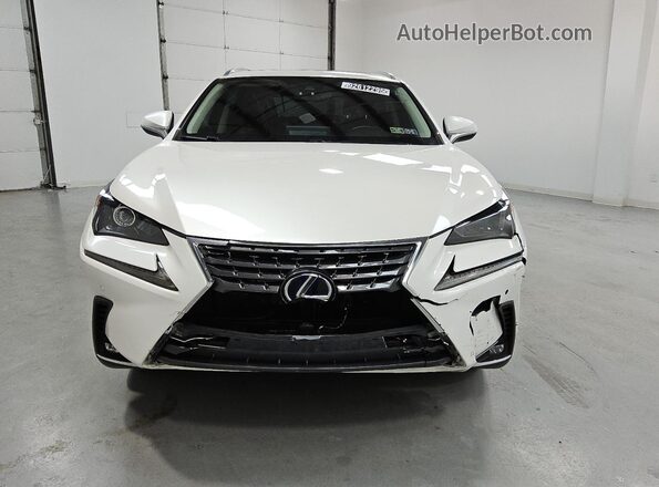 JTJGJRDZ1L2139391 2020 LEXUS NX White 