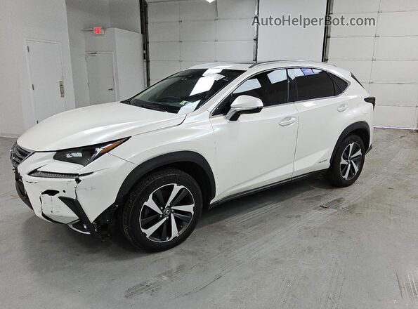 JTJGJRDZ1L2139391 2020 LEXUS NX White 