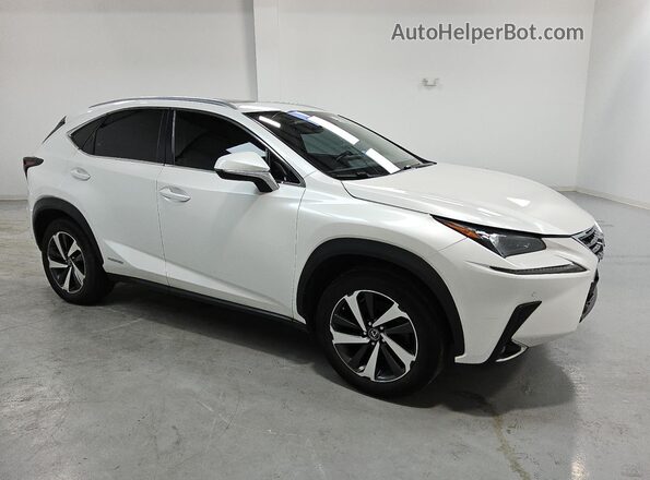 JTJGJRDZ1L2139391 2020 LEXUS NX White 
