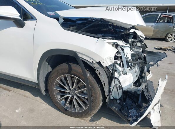 JTJGKCEZ1S5031164 2025 LEXUS NX 350H White 