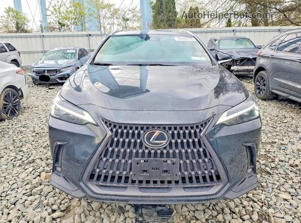 JTJGKCEZ2S5036731 2025 LEXUS NX Black Front view