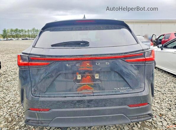 JTJGKCEZ2S5036731 2025 LEXUS NX Black Rear view