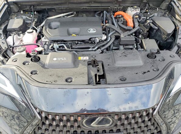JTJGKCEZ2S5036731 2025 LEXUS NX Black Engine compartment view