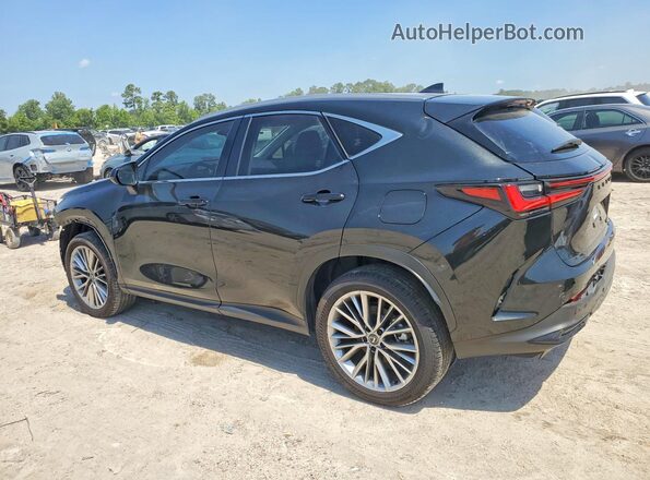 JTJGKCEZ5S5037548 2025 LEXUS NX Black უკანა მარცხენა