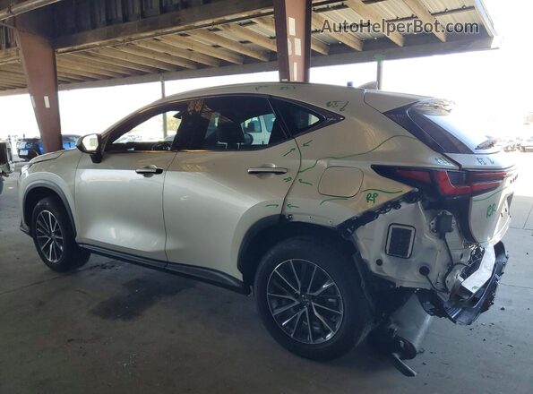 JTJGKCEZ6S5034643 2025 LEXUS NX White Հետևի ձախ