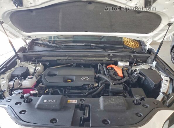 JTJGKCEZ6S5034643 2025 LEXUS NX White Շարժիչի բաժամունքի տեսք