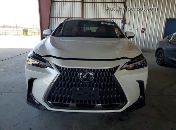 JTJGKCEZ6S5034643 2025 LEXUS NX White Դիմացի տեսք