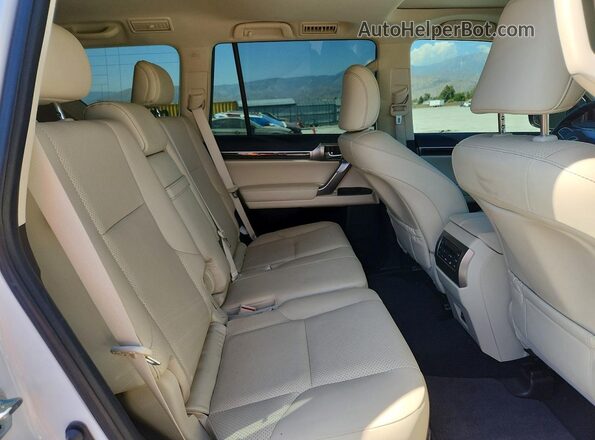 JTJGM7BX4P5370075 2023 LEXUS GX Белый Вид задней части салона