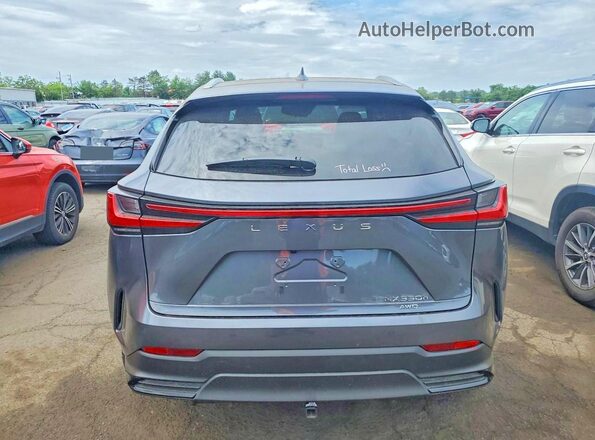 JTJHKCEZ2R2033103 2024 LEXUS NX Gray 