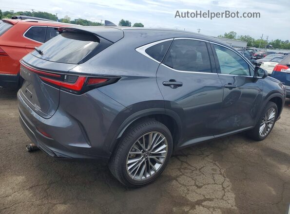 JTJHKCEZ2R2033103 2024 LEXUS NX Gray 