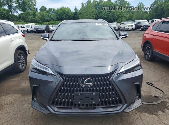 JTJHKCEZ2R2033103 2024 LEXUS NX Gray 