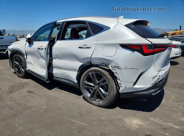 JTJHKCFZ0R2025029 2024 LEXUS NX White 