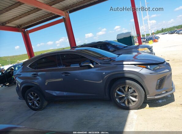 JTJJARBZ4L5011055 2020 LEXUS NX 300 Gray Widok wnętrza z tyłu