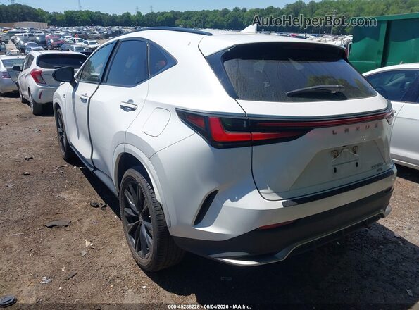 JTJKGCEZ5N2002607 2022 LEXUS NX 350 White უკანა მარცხენა