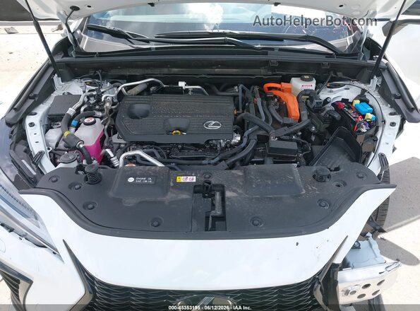 JTJKKCFZ2S2053796 2025 LEXUS NX 450H+ Белый Вид сзади