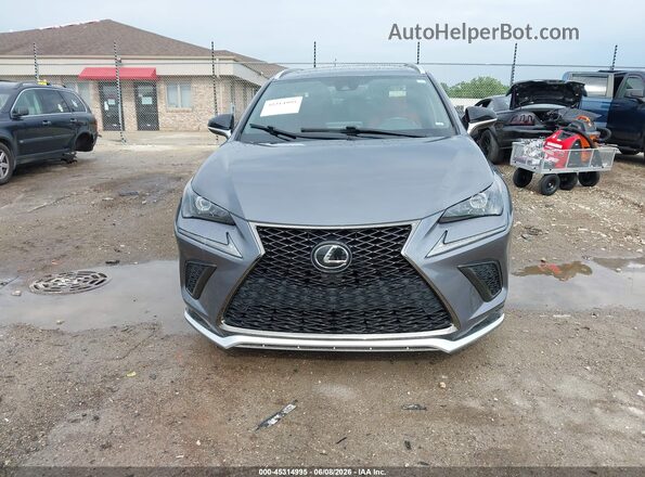 JTJSARBZ1M2193689 2021 LEXUS NX 300 Gray Вид задньої частини салону