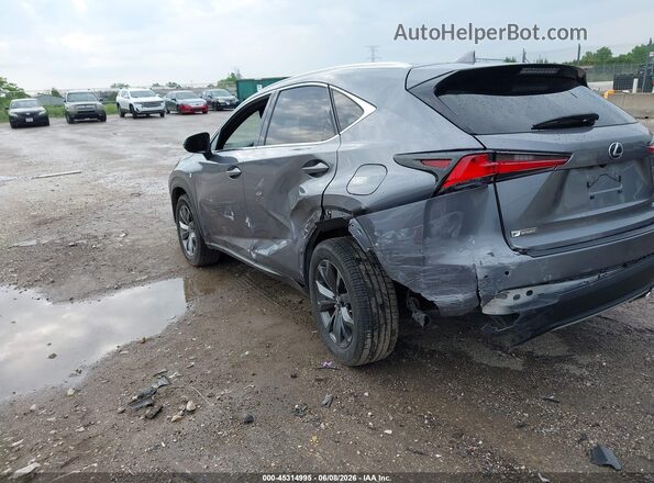JTJSARBZ1M2193689 2021 LEXUS NX 300 Gray Задня ліва чверть