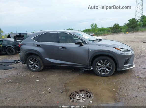 JTJSARBZ1M2193689 2021 LEXUS NX 300 Gray Панорамний вид салону 360°