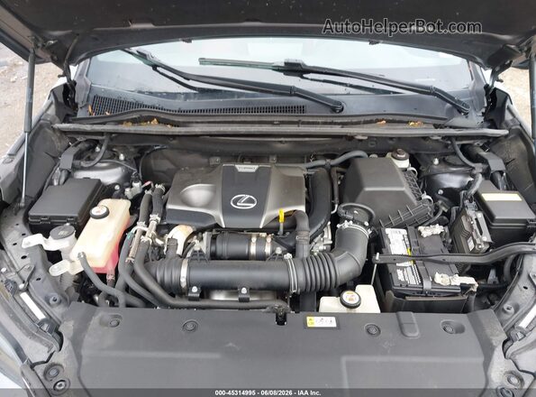 JTJSARBZ1M2193689 2021 LEXUS NX 300 Gray Вид ззаду