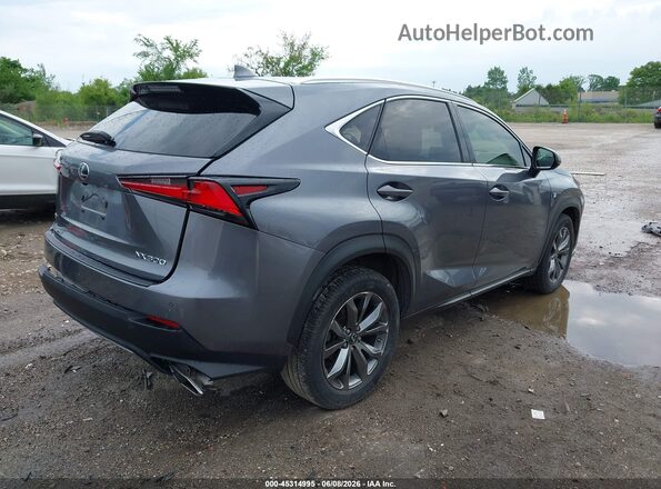 JTJSARBZ1M2193689 2021 LEXUS NX 300 Gray Задня права чверть