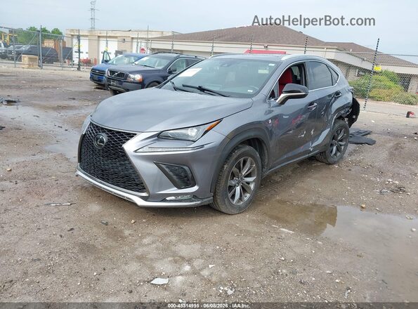 JTJSARBZ1M2193689 2021 LEXUS NX 300 Gray Передня ліва чверть