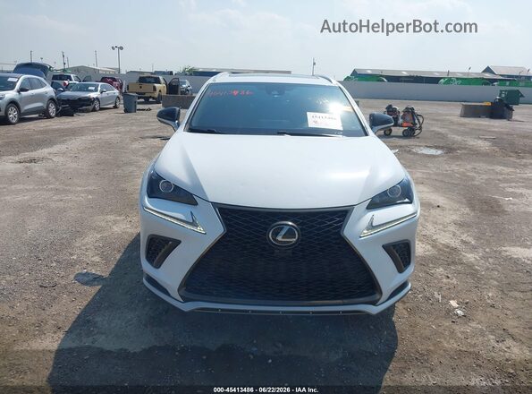 JTJSARBZ1M2201774 2021 LEXUS NX 300 White Вид щитка приладів