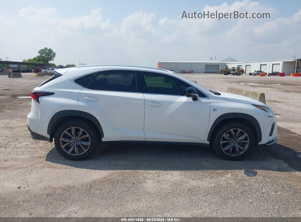 JTJSARBZ1M2201774 2021 LEXUS NX 300 White Вид задньої частини салону