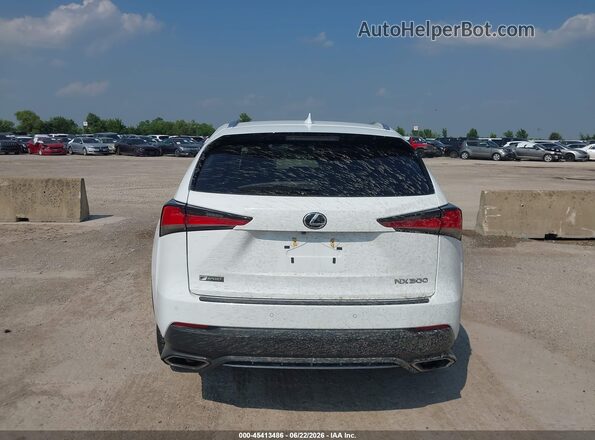 JTJSARBZ1M2201774 2021 LEXUS NX 300 White 