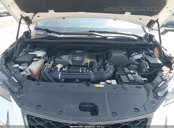 JTJSARBZ1M2201774 2021 LEXUS NX 300 White Вид ззаду