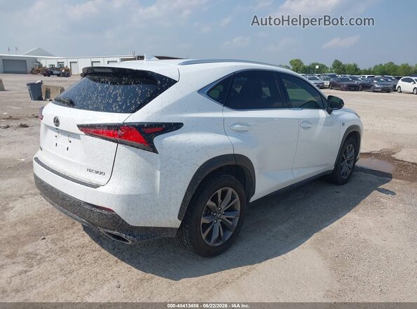 JTJSARBZ1M2201774 2021 LEXUS NX 300 White Задня права чверть