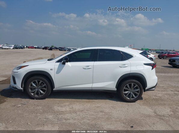 JTJSARBZ1M2201774 2021 LEXUS NX 300 White Панорамний вид салону 360°