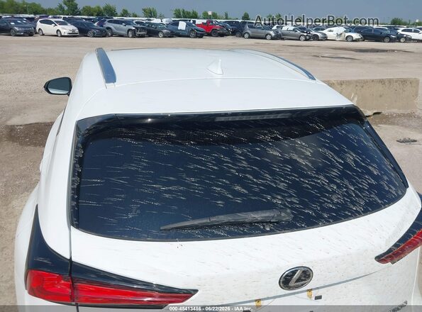 JTJSARBZ1M2201774 2021 LEXUS NX 300 White 