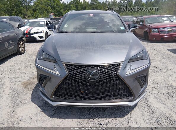JTJSARBZ2L5007610 2020 LEXUS NX 300 Gray Instrument cluster view